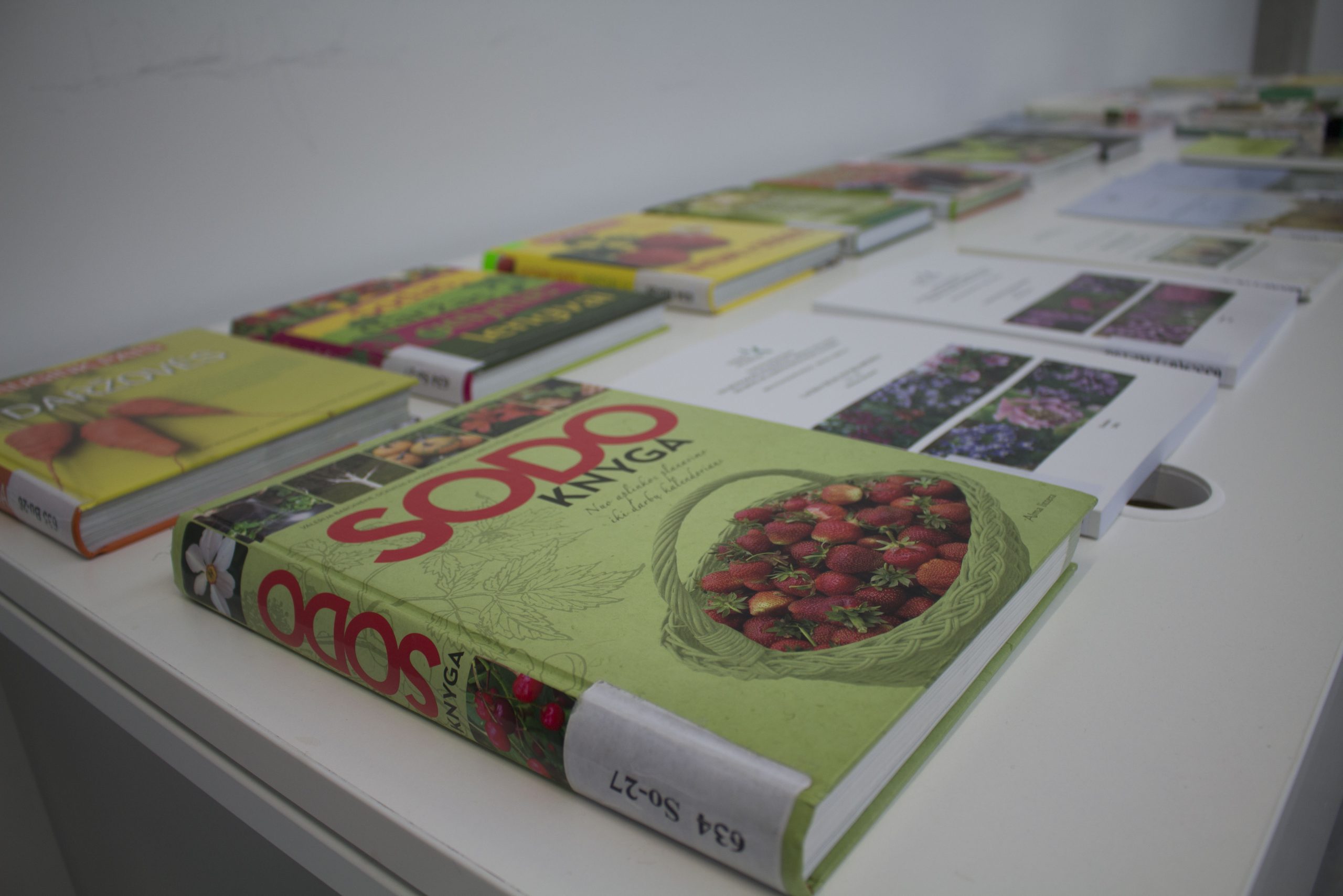 Sodybos ir jos aplinkos tvarkymas